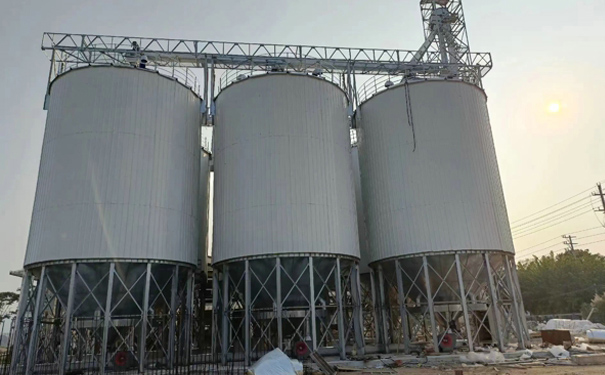 玉米存储仓 玉米存储仓